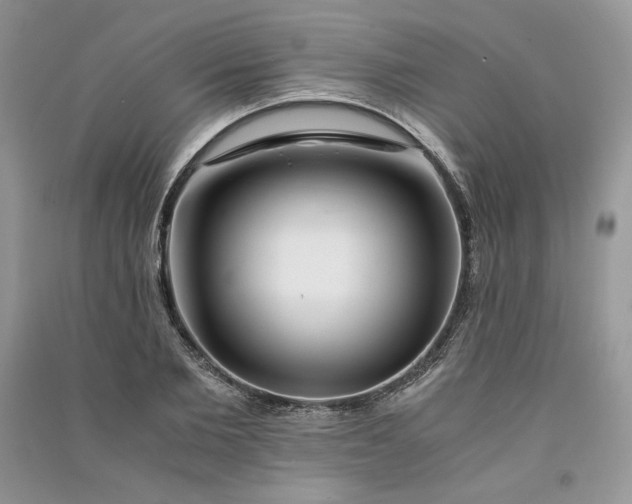 X0000090900885200708131350