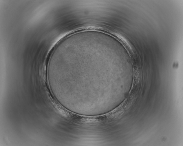X0000090900886200708131350