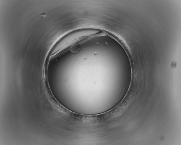 X0000090900887200708131350