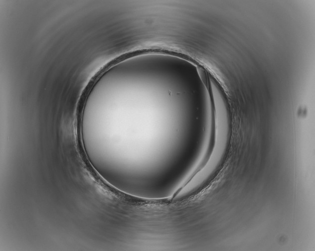 X0000090900888200708131350