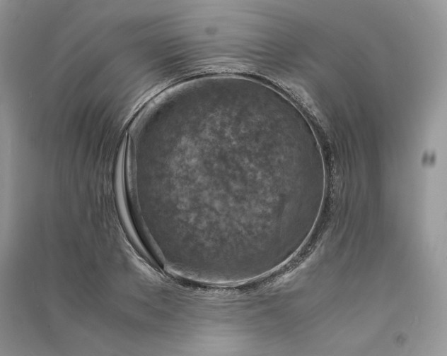 X0000090900889200708131350