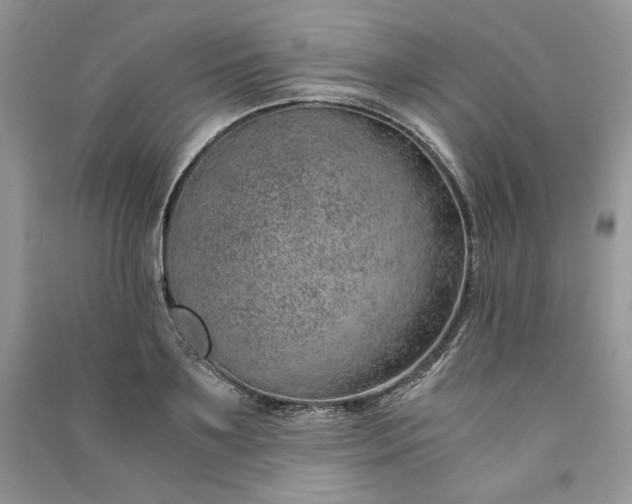 X0000090900891200708131350