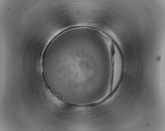 X0000090900892200708131350