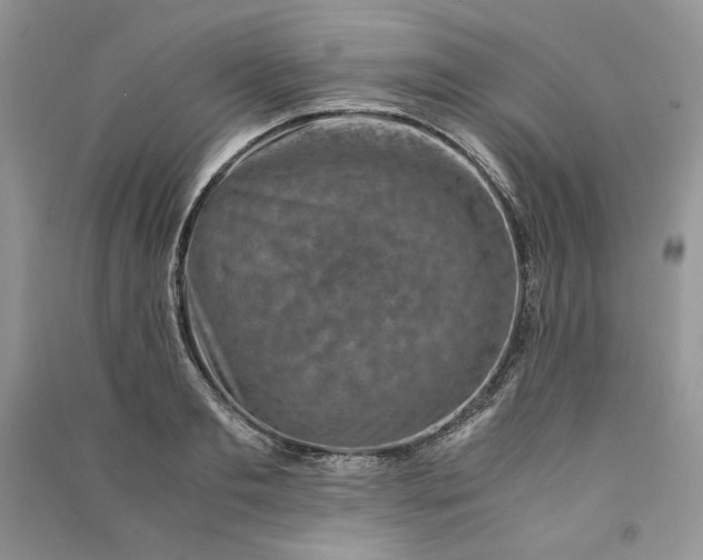 X0000090900893200708131350