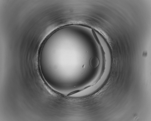 X0000090900894200708131350