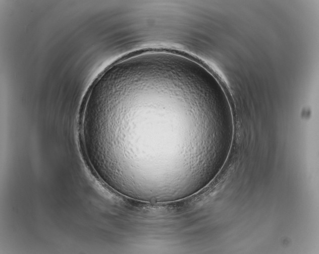 X0000090900895200708131350