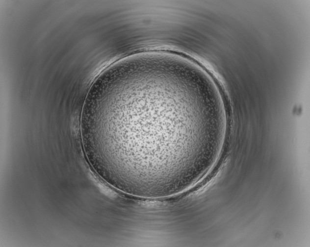 X0000090900897200708131350