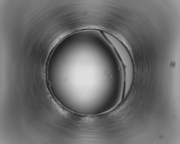 X0000090900898200708131350