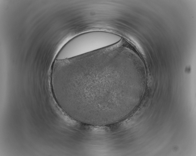 X0000090900899200708131350