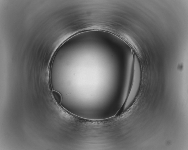 X0000090900900200708131350