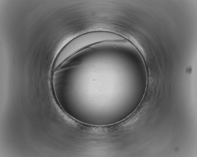 X0000090900901200708131350