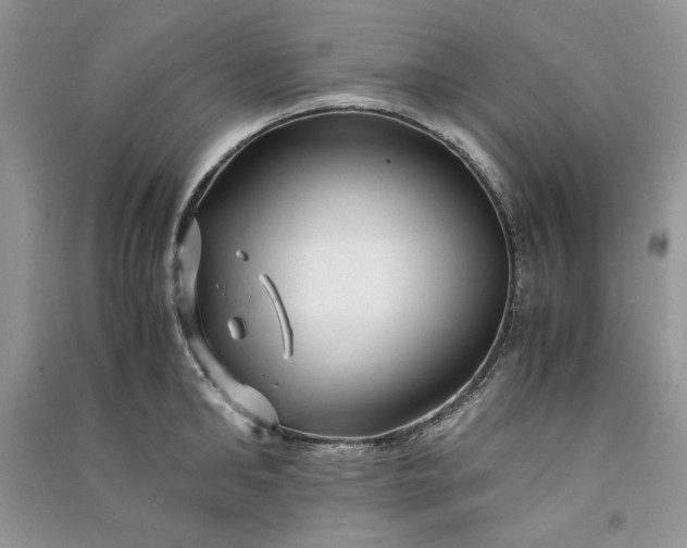 X0000090900902200708131350