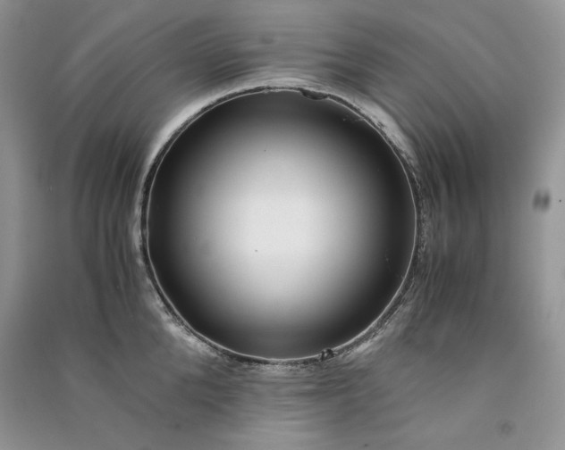 X0000090900904200708131350