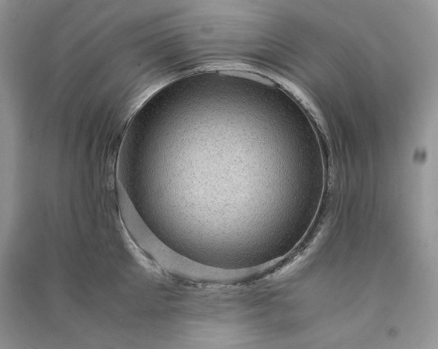 X0000090900905200708131350