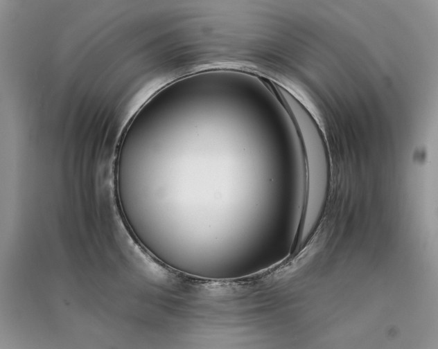 X0000090900906200708131350