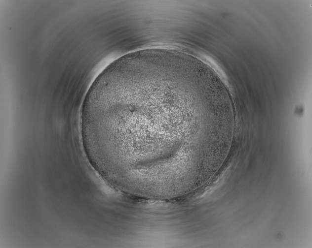 X0000090900907200708131350