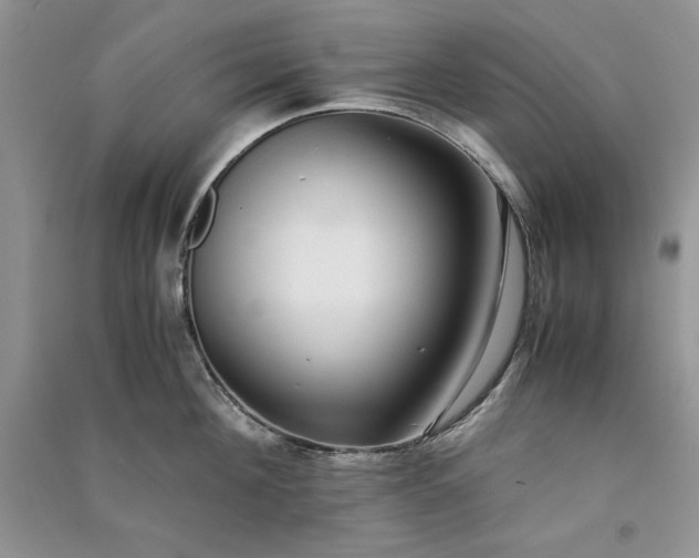 X0000090900908200708131350