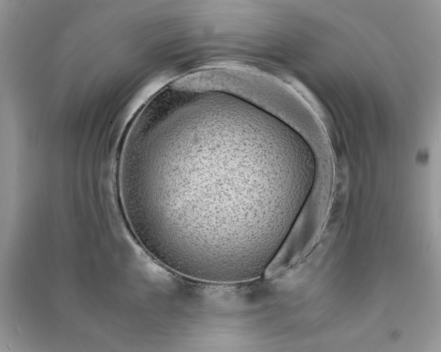 X0000090900909200708131350