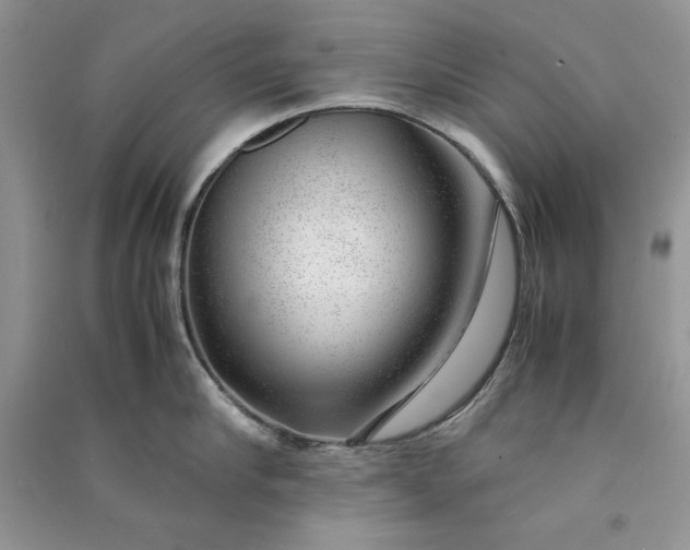 X0000090900910200708131350