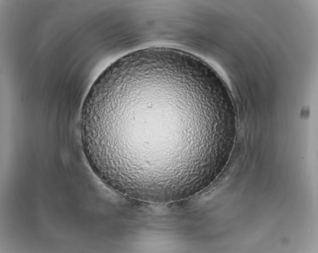 X0000090900911200708131350