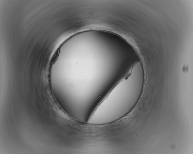 X0000090900912200708131350