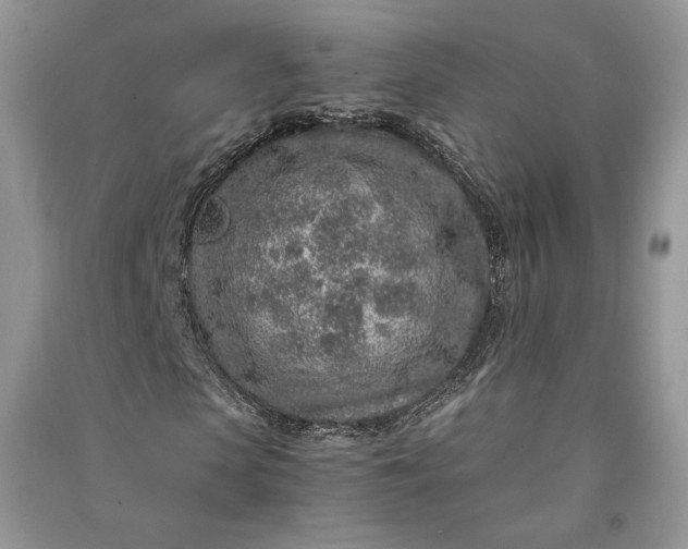 X0000090900913200708131349