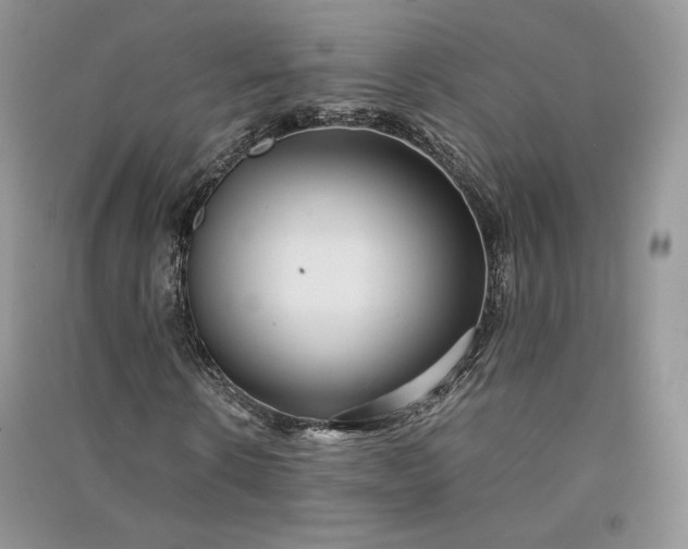 X0000090900914200708131349