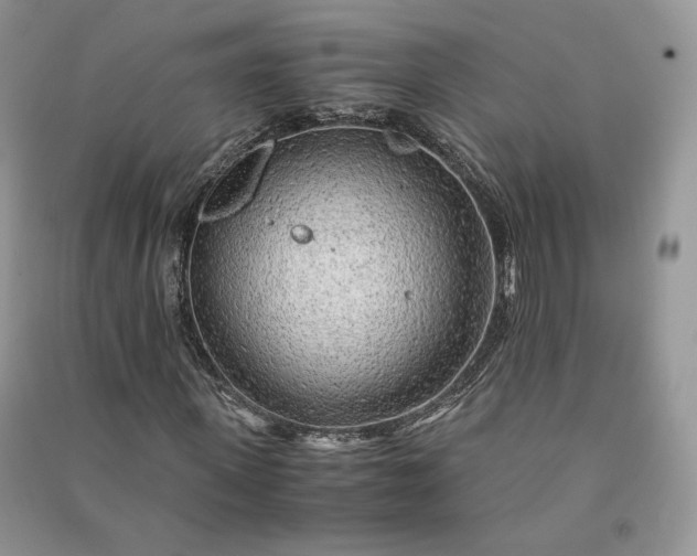 X0000090900915200708131349