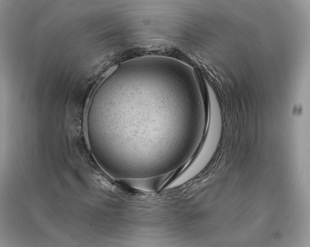 X0000090900916200708131349