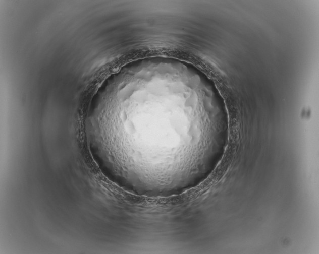 X0000090900917200708131349