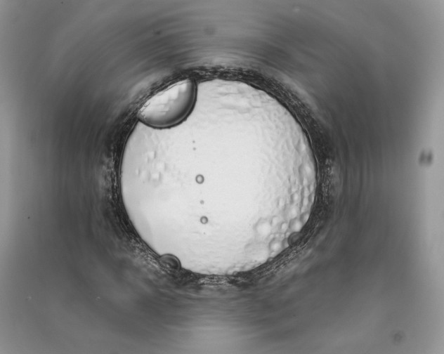 X0000090900918200708131349