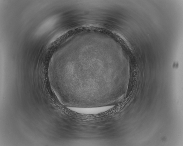 X0000090900919200708131349