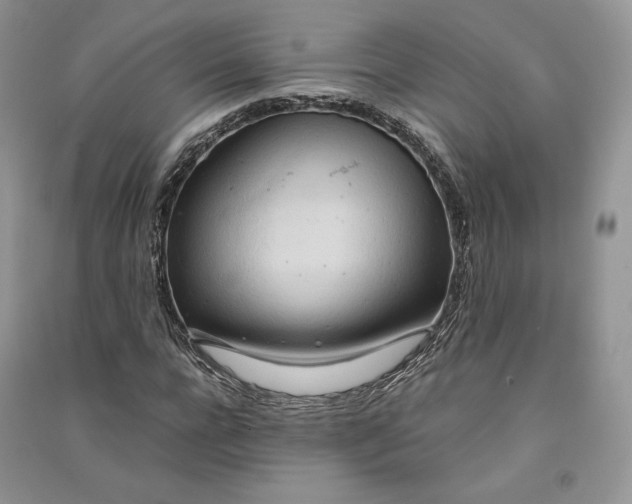 X0000090900920200708131349