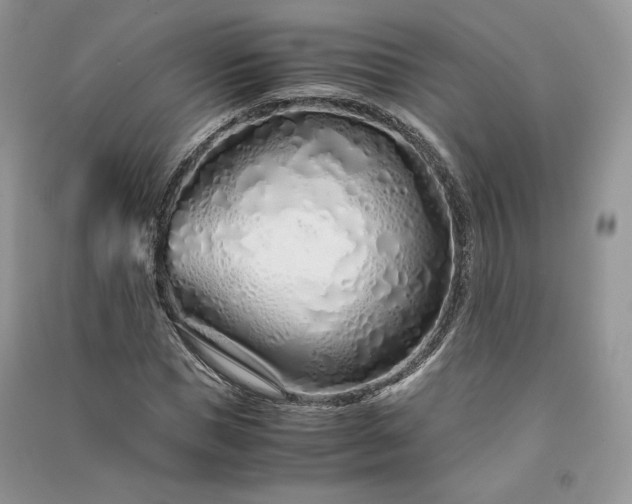 X0000090900921200708131349