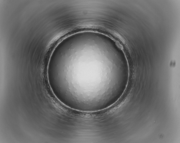 X0000090900922200708131349