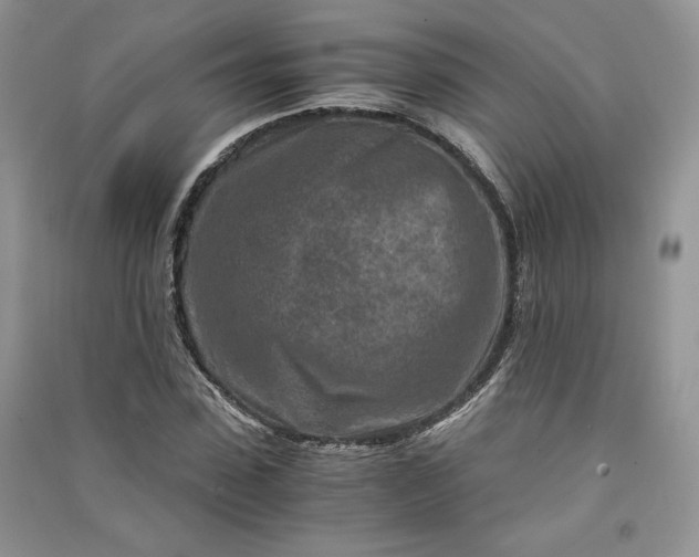 X0000090900923200708131349