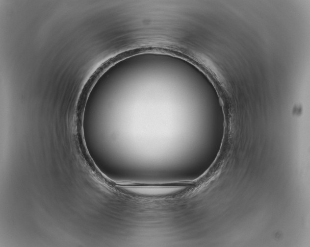 X0000090900924200708131349