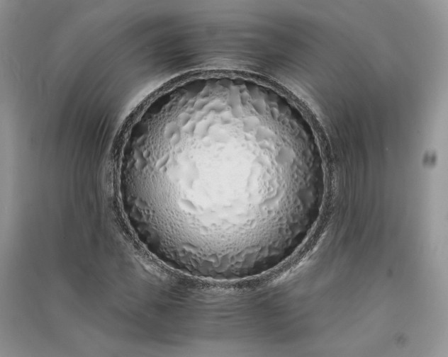 X0000090900925200708131349