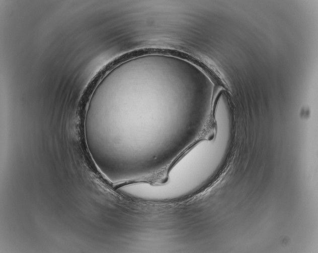X0000090900926200708131349