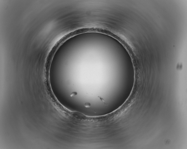 X0000090900927200708131349