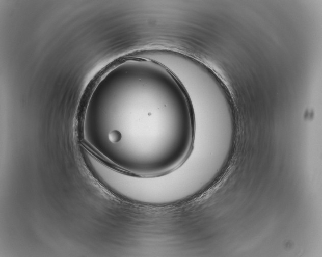 X0000090900928200708131349