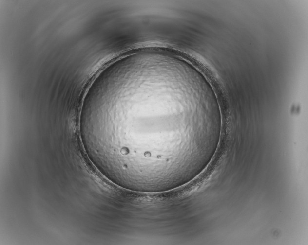 X0000090900929200708131349