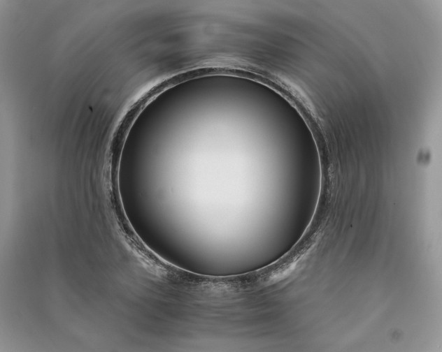 X0000090900931200708131349