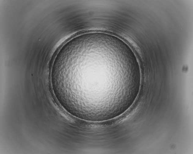 X0000090900933200708131349