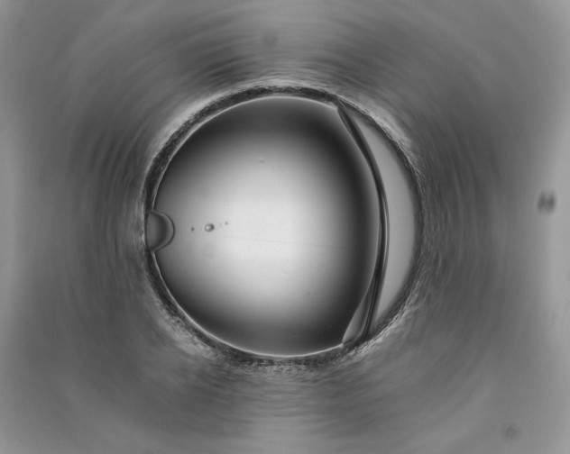 X0000090900934200708131349