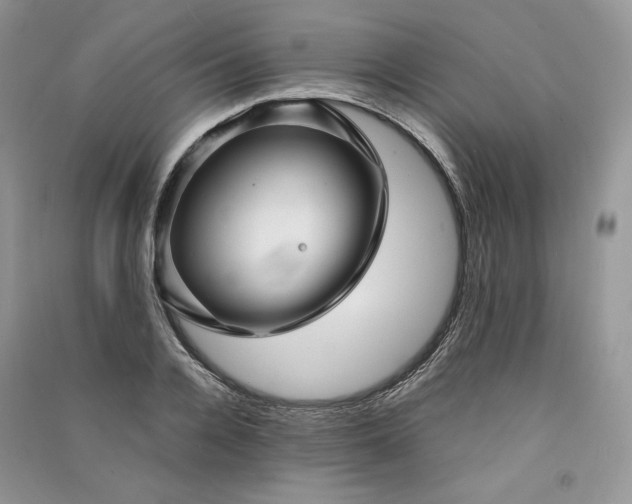 X0000090900936200708131349