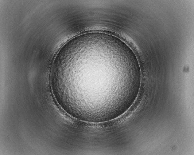 X0000090900937200708131349