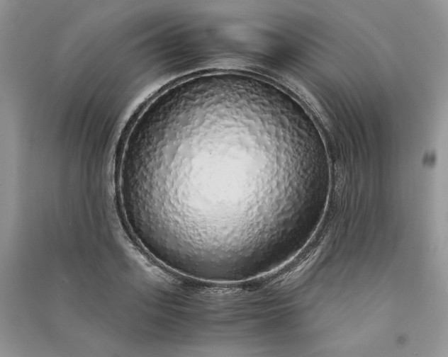 X0000090900939200708131349