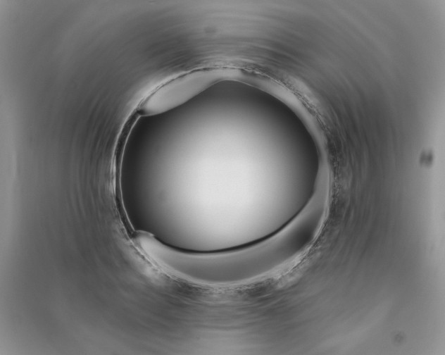 X0000090900940200708131349