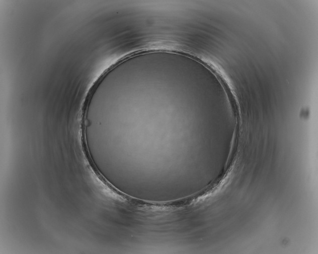X0000090900941200708131349